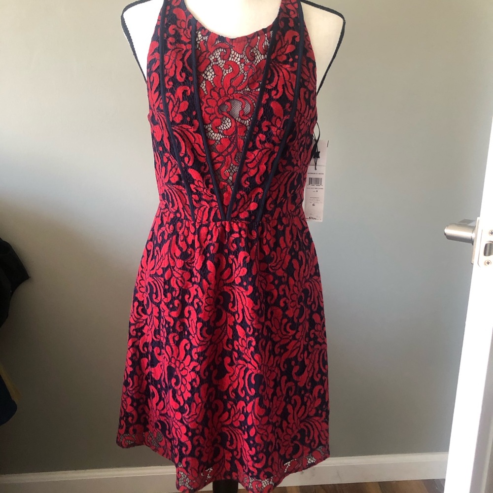 BCBG Lace Dress